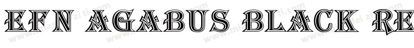 EFN Agabus Black Regular字体转换